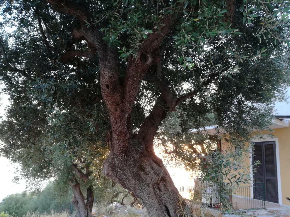 Taverna Catena Brusciano Exteriér fotografie